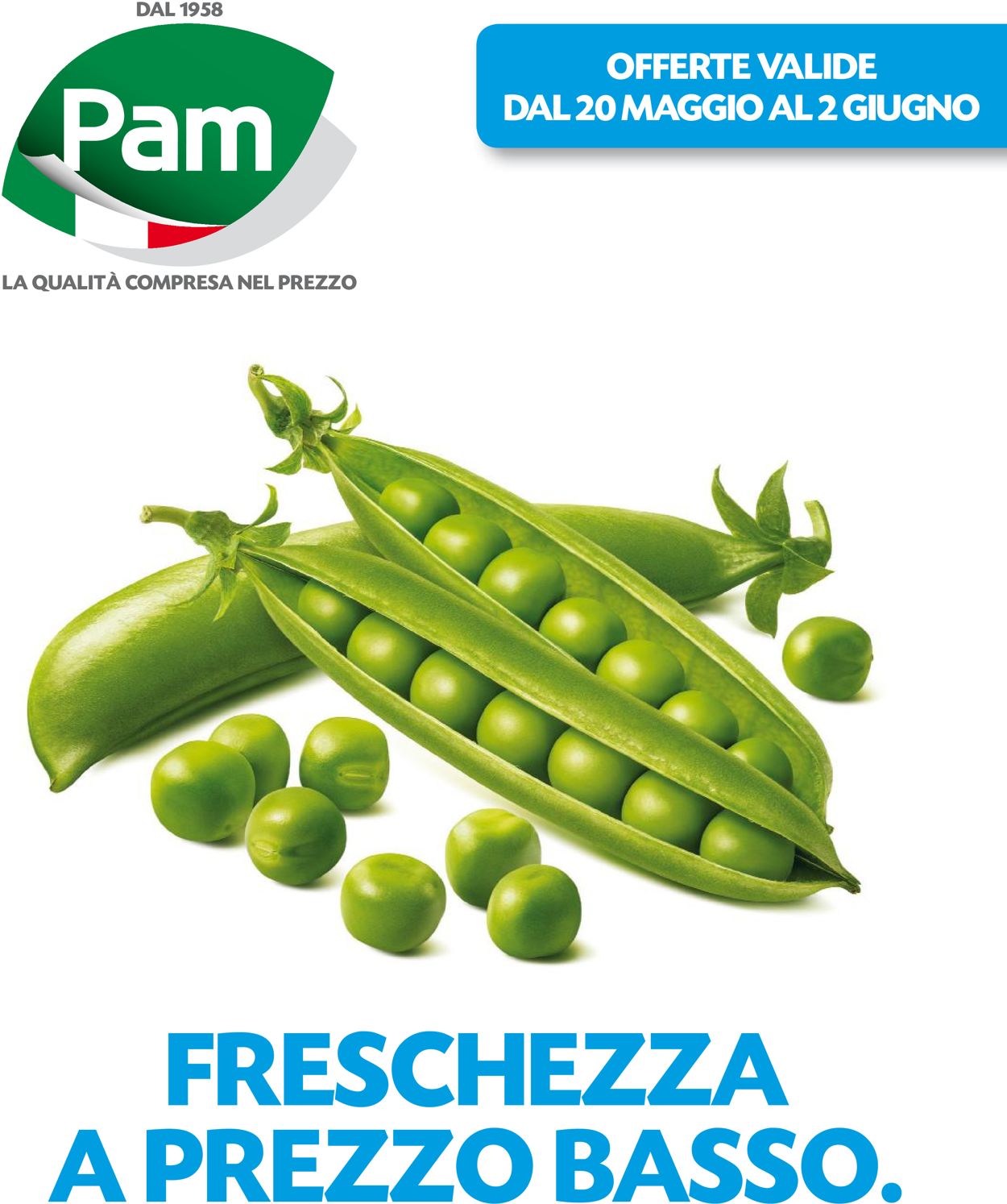 Pam Panorama Volantino dal 20/05/2021