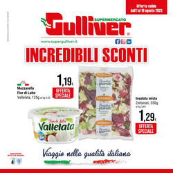 Volantino Gulliver dal 01/08/2023