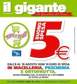 Volantino Il Gigante dal 08/08/2019