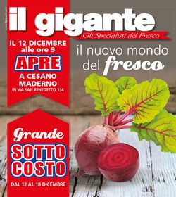 Volantino Il volantino natalizio di Il Gigante dal 12/12/2019