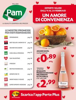 Volantino Pam Panorama - San Valentino 2021 dal 11/02/2021