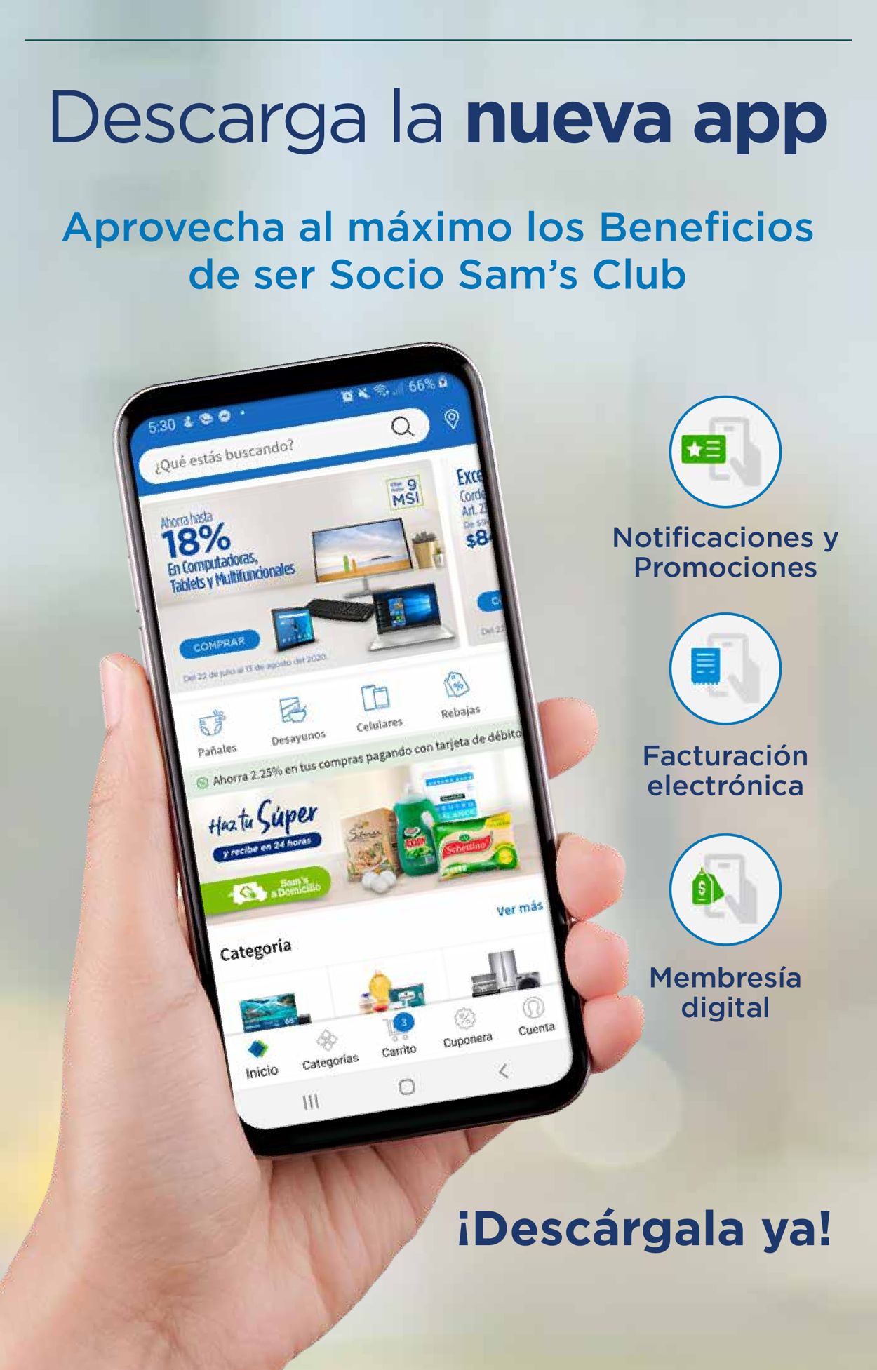 Sam's Club Catálogo desde 17.12.2020
