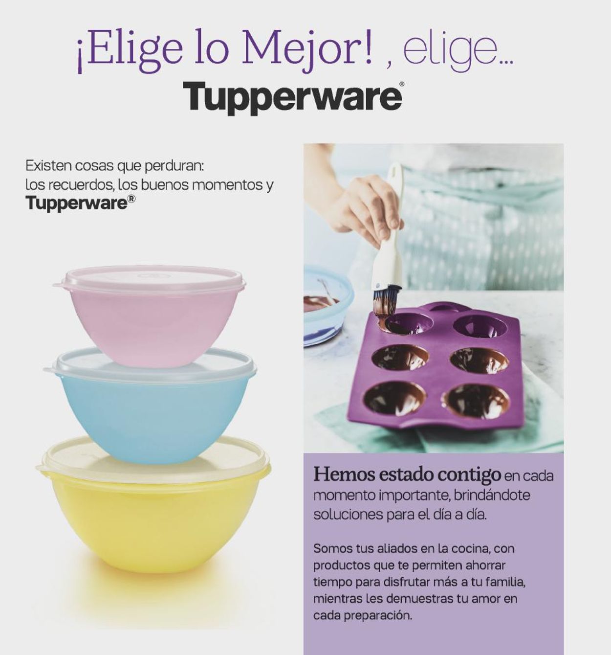 Tupperware Catálogo desde 18.01.2021