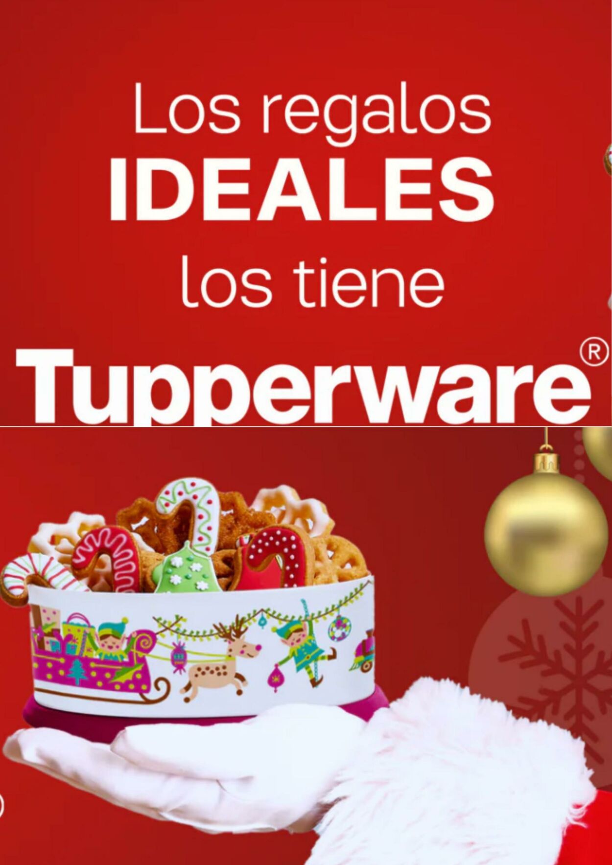 Tupperware Catálogo desde 11.12.2023