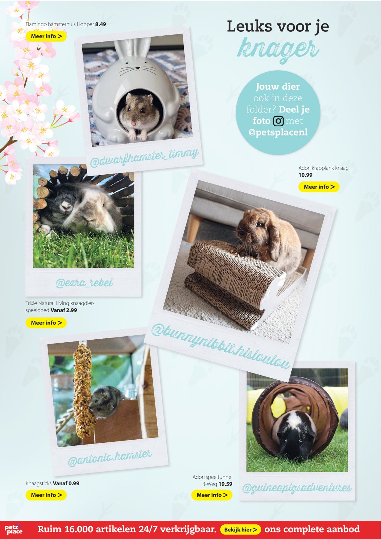 Pets Place Flyer vanaf 26.04.2021