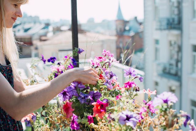 Jakie kwiaty wybrać na balkon?