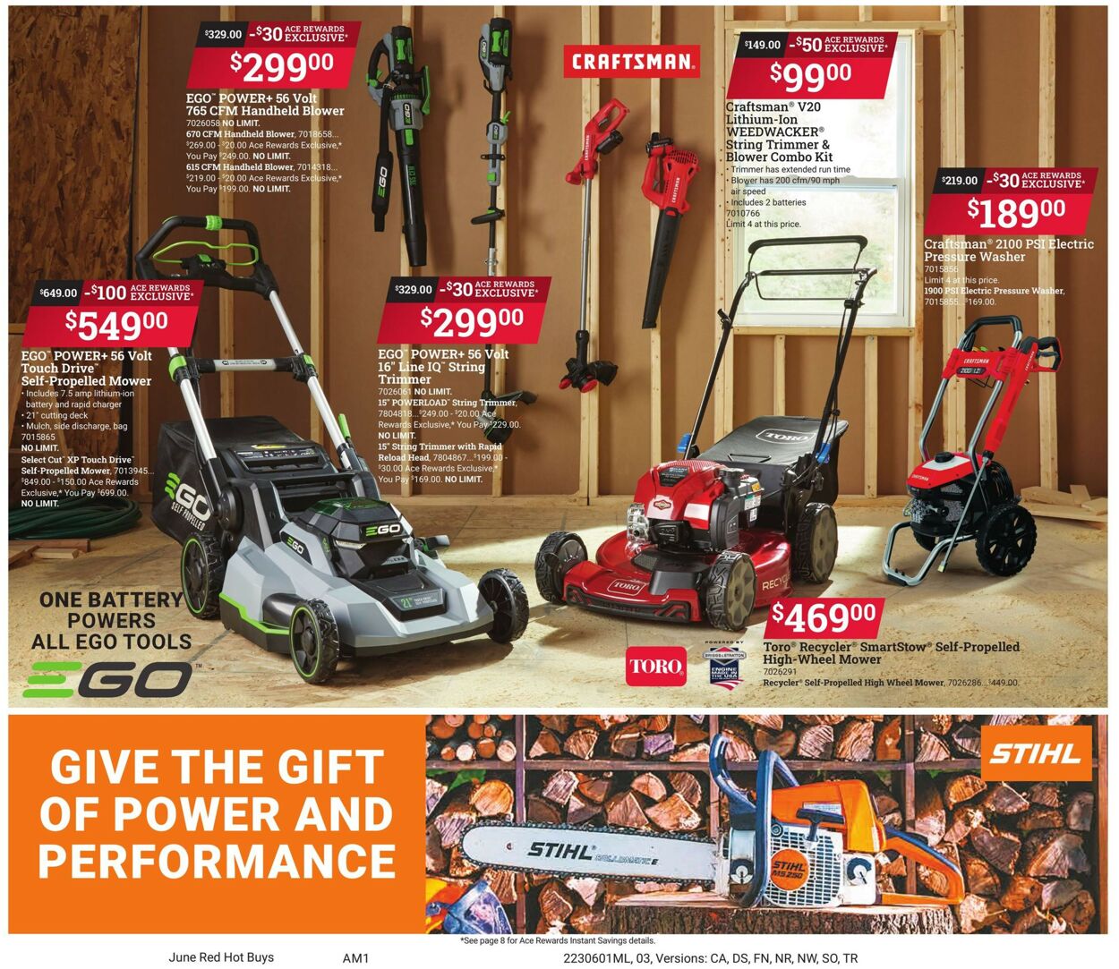 Ace Hardware Ad from 06/01/2023