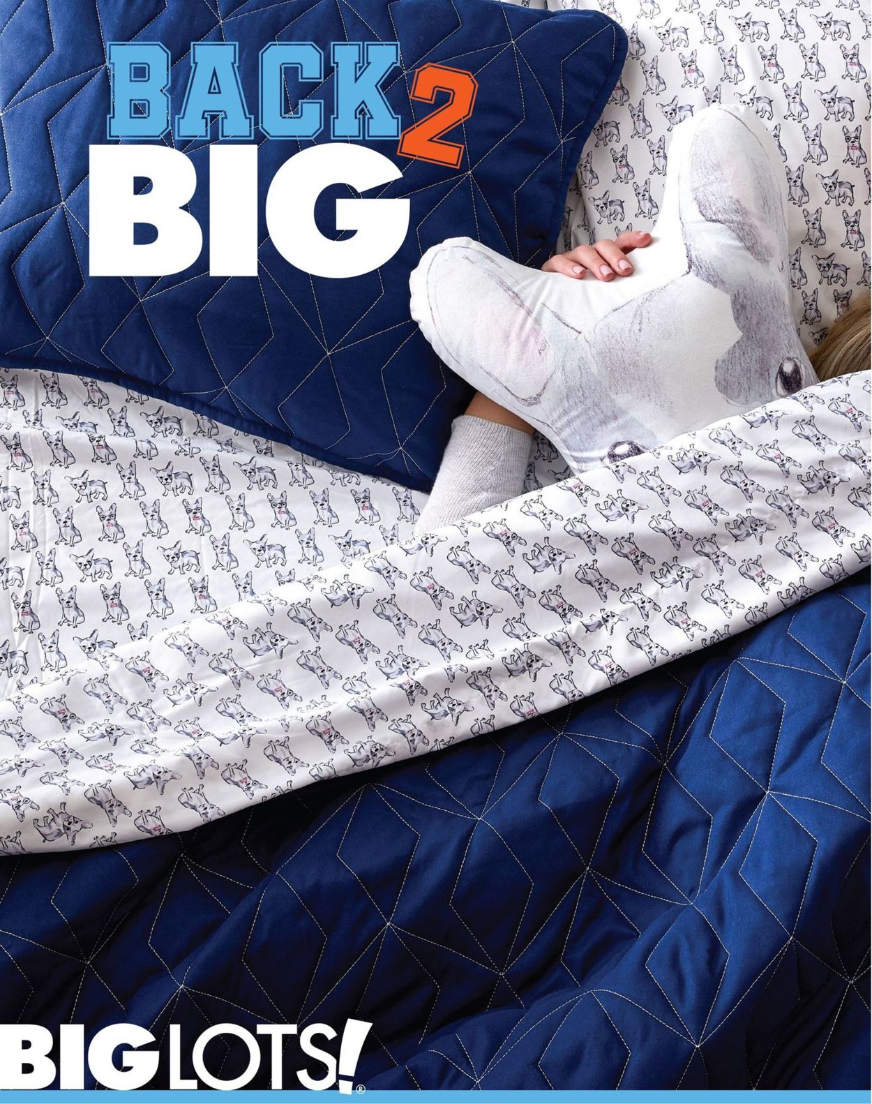 Big Lots Ad from 06/28/2019