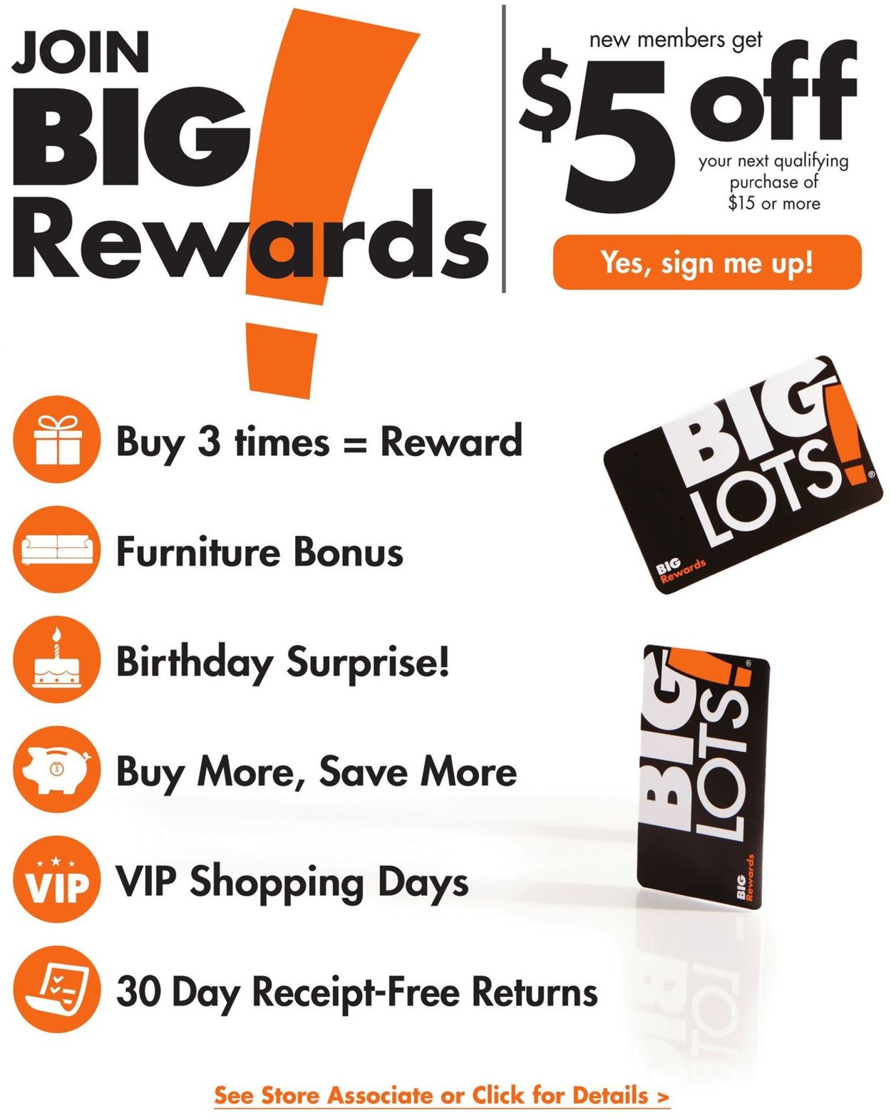Big Lots Ad from 07/13/2019