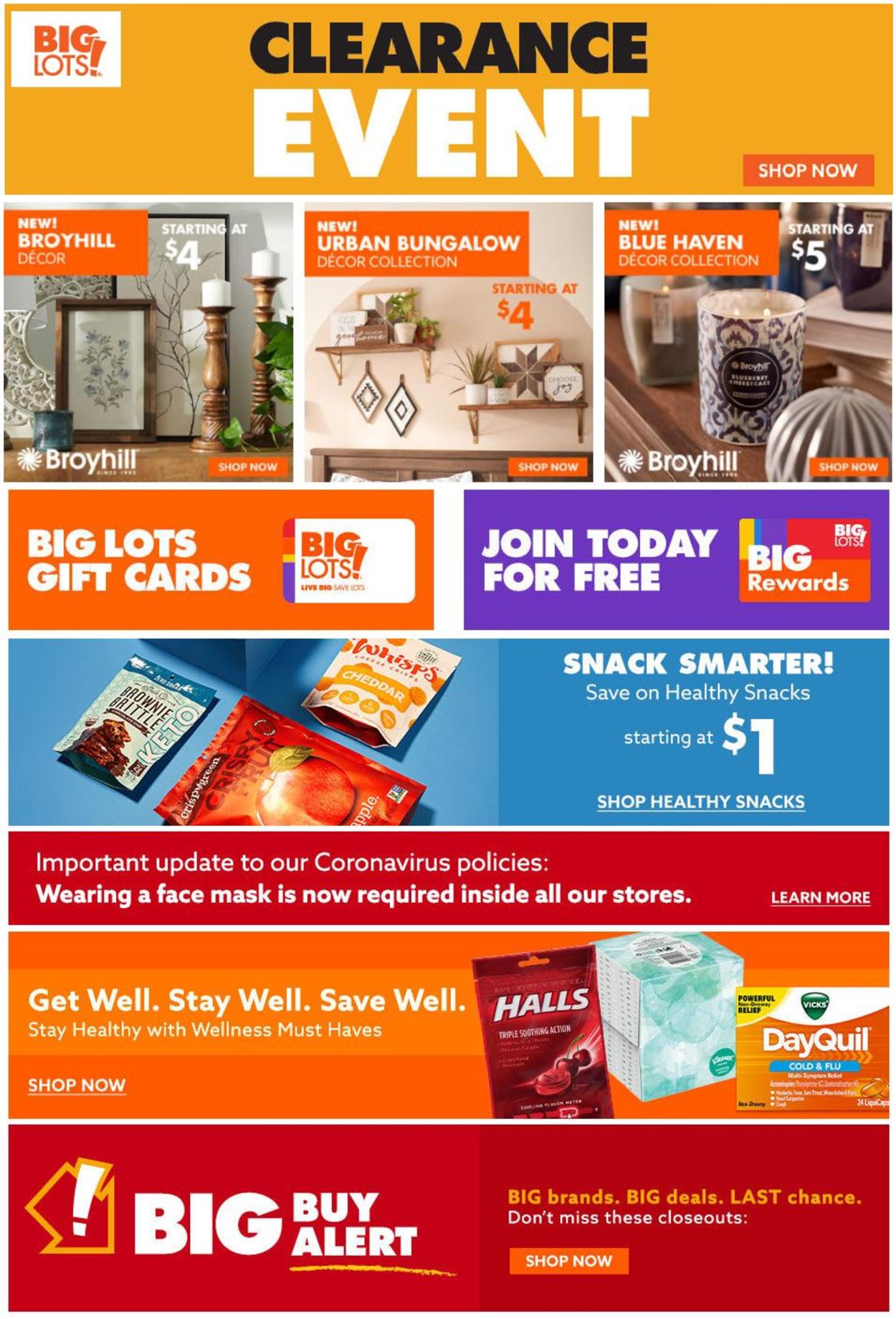 Big Lots Ad from 01/18/2021