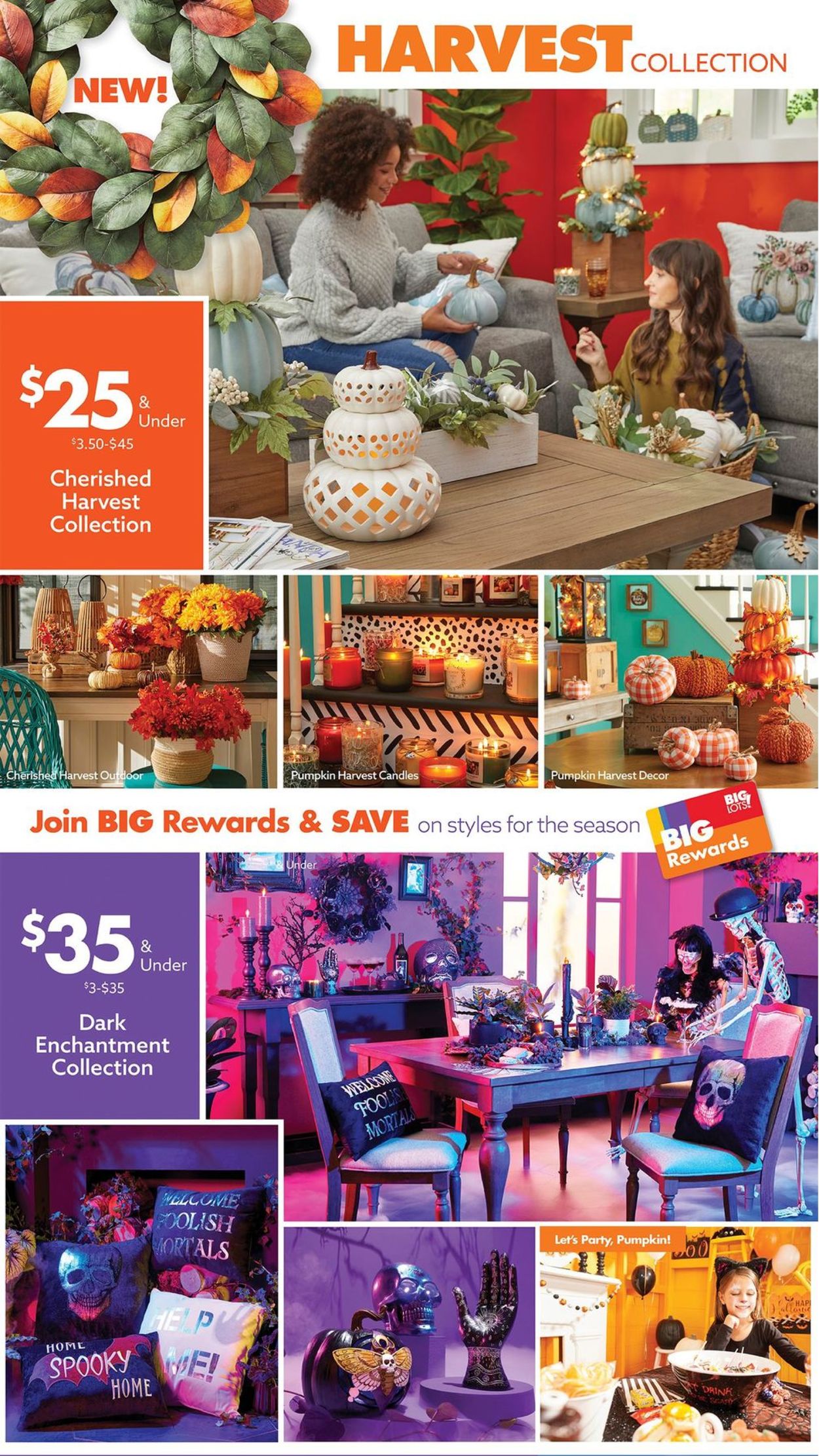 Big Lots Ad from 08/14/2021