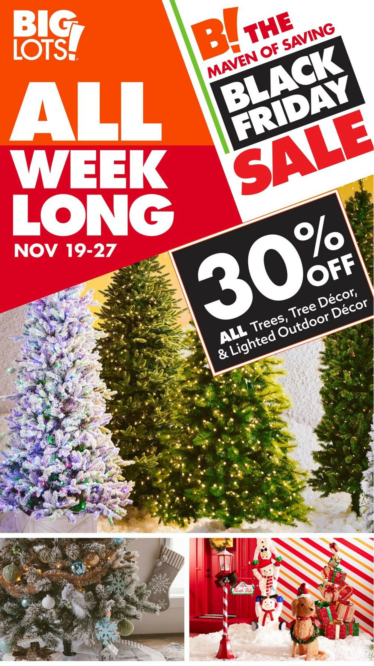 Big Lots Ad from 11/19/2022