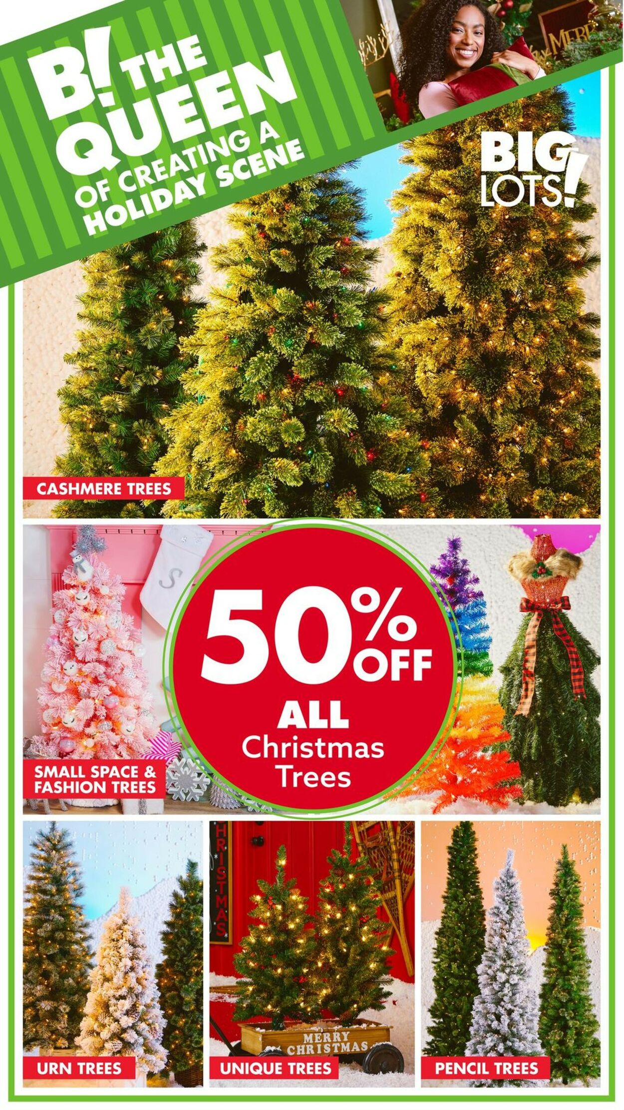 Big Lots Ad from 11/28/2022