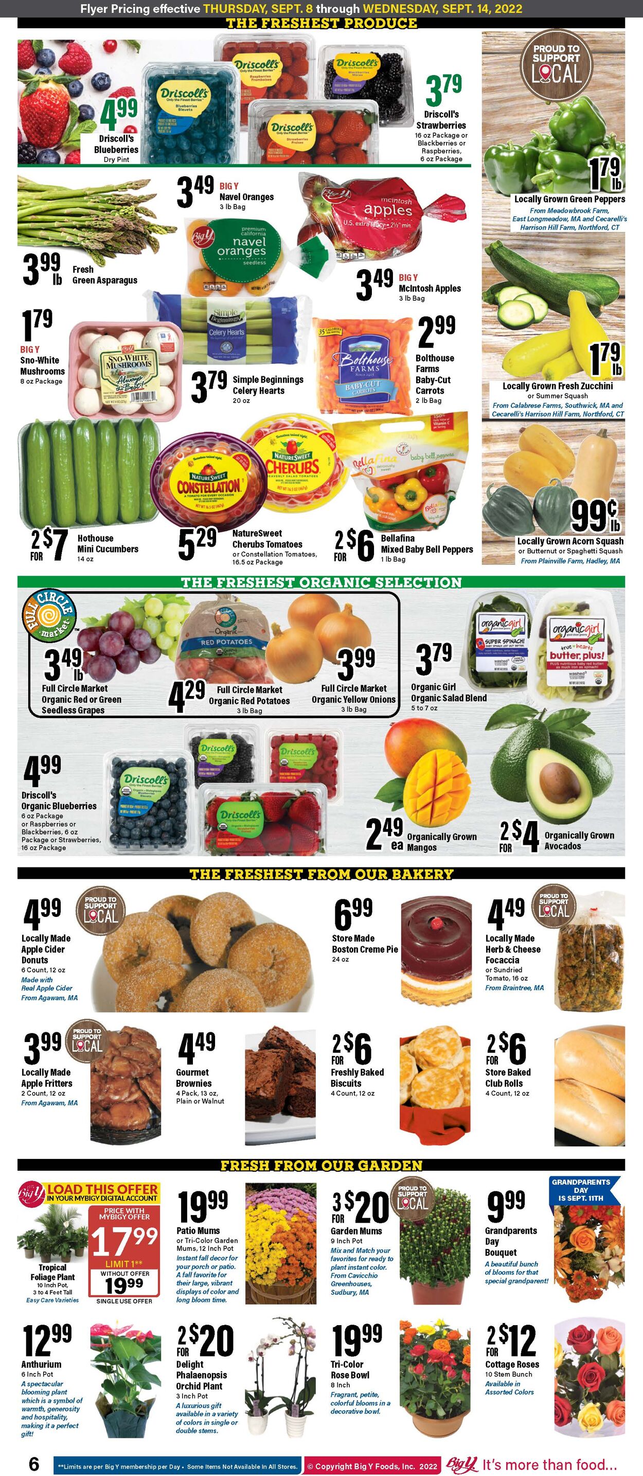 Big Y Ad from 09/08/2022