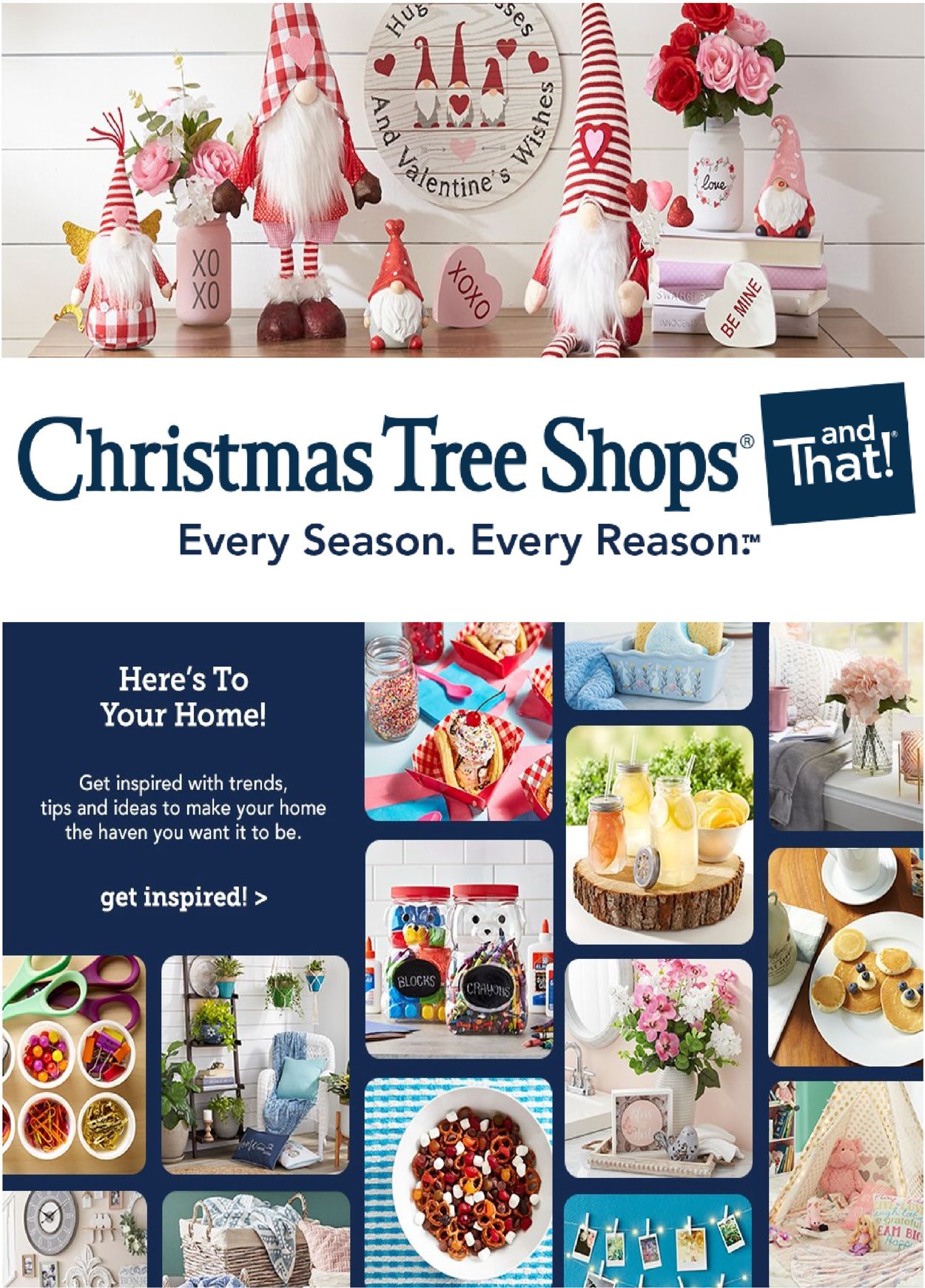 Christmas Tree Shops Ad from 01/25/2021