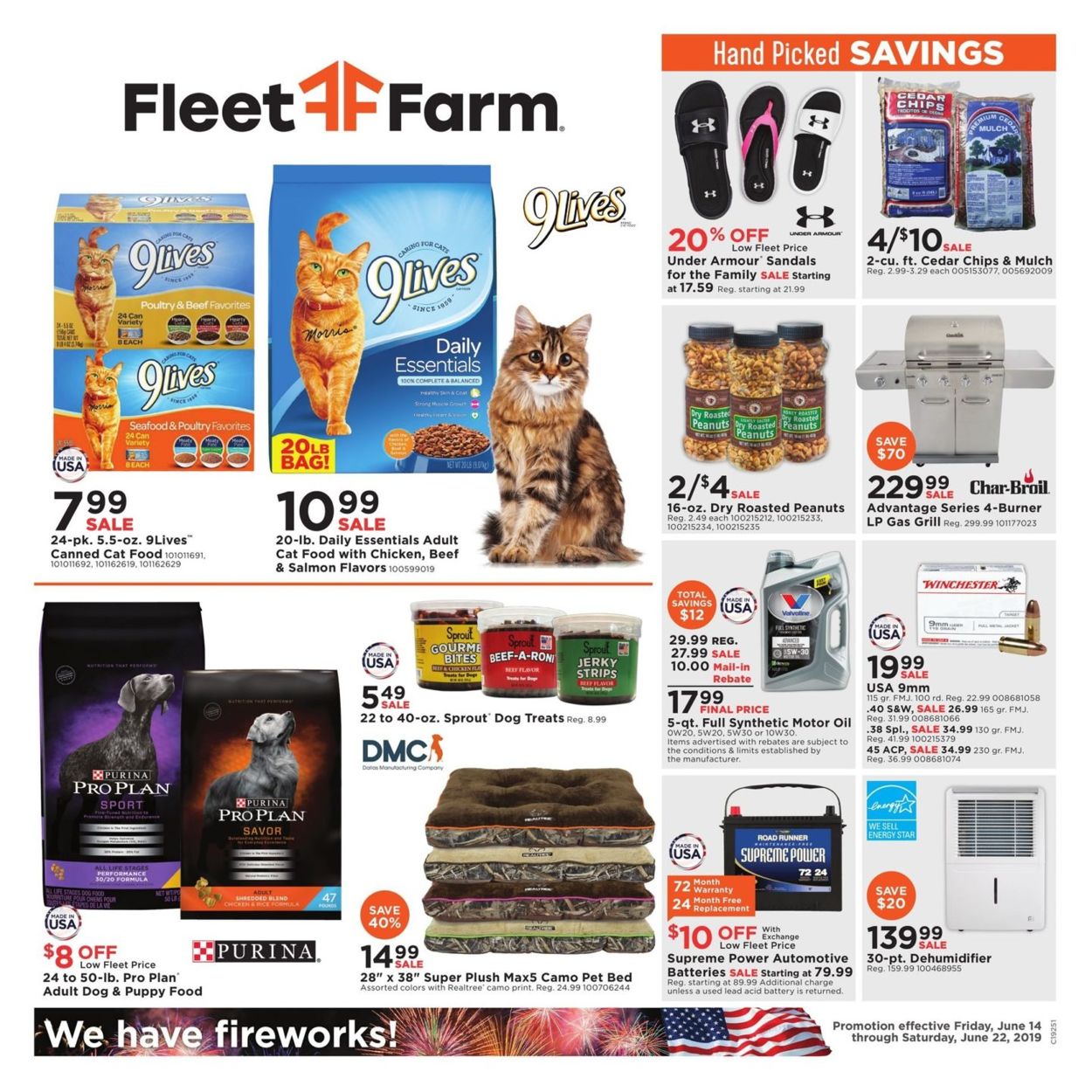 Fleet Farm Ad from 06/14/2019