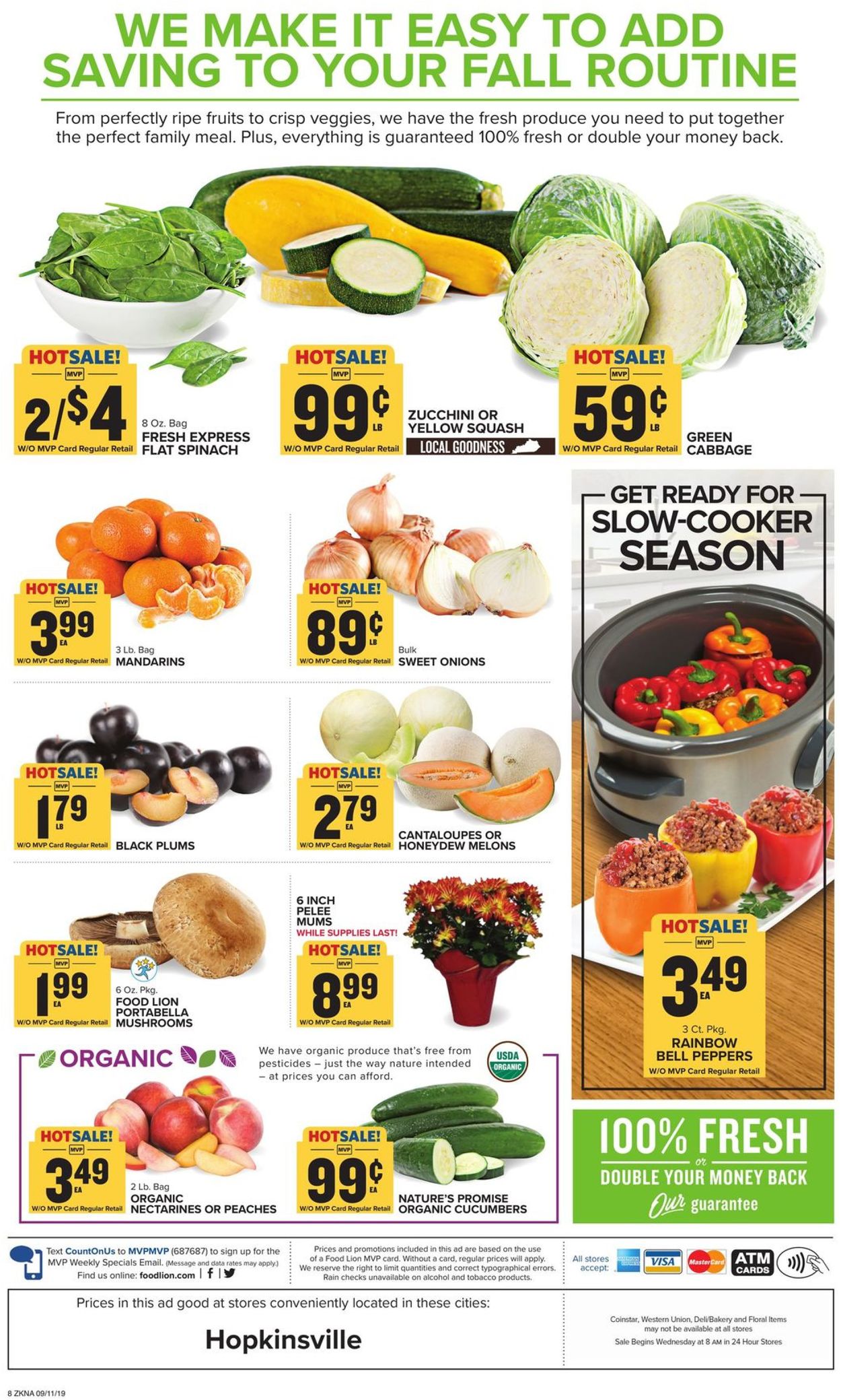 Food Lion Ad from 09/11/2019