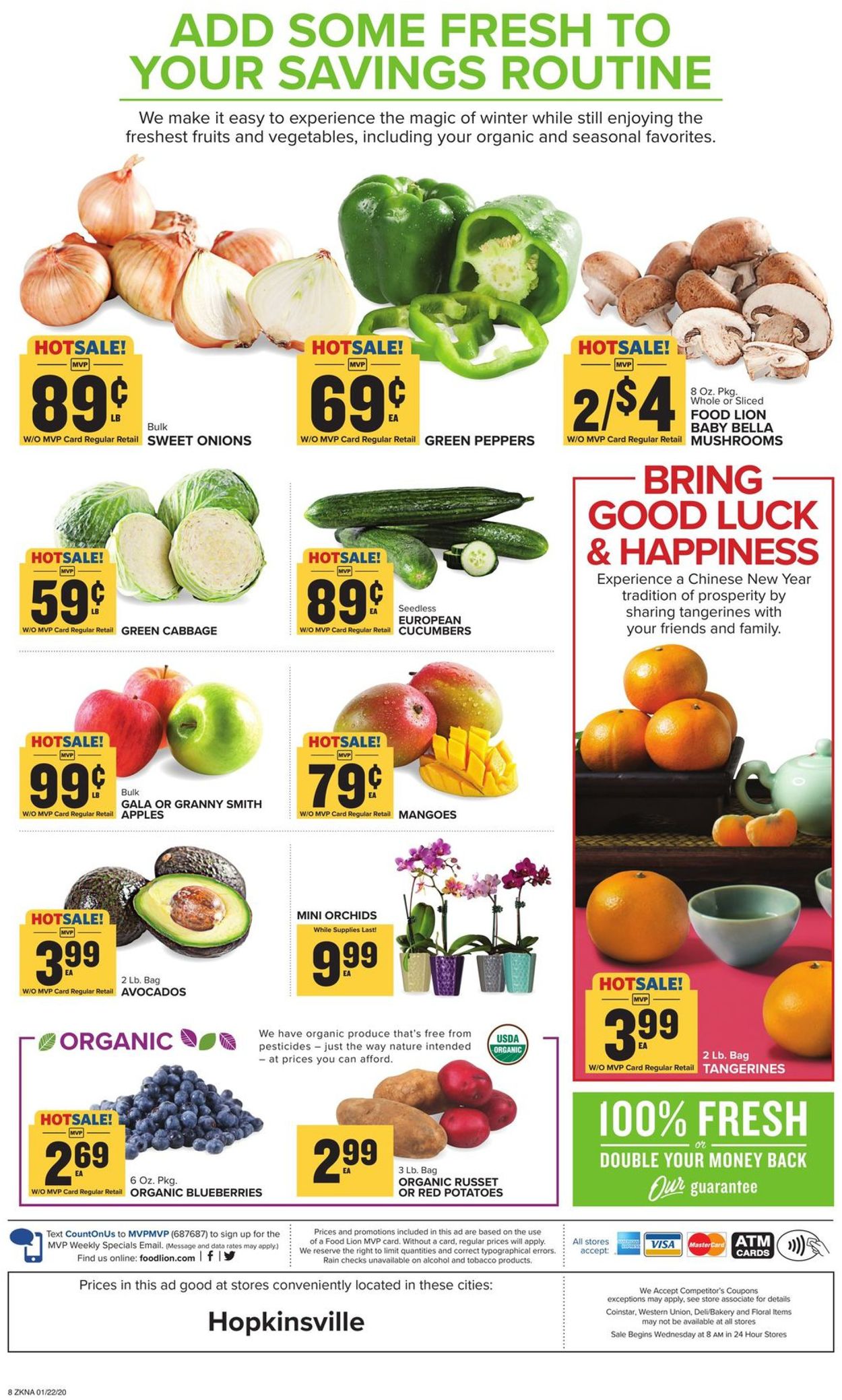 Food Lion Ad from 01/22/2020