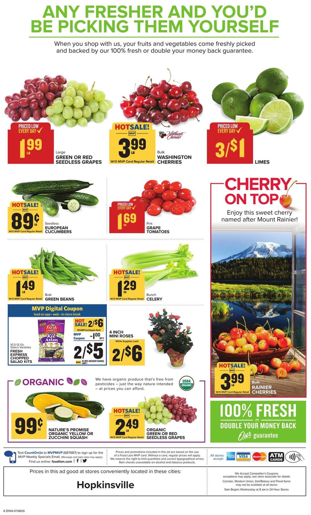 Food Lion Ad from 07/08/2020