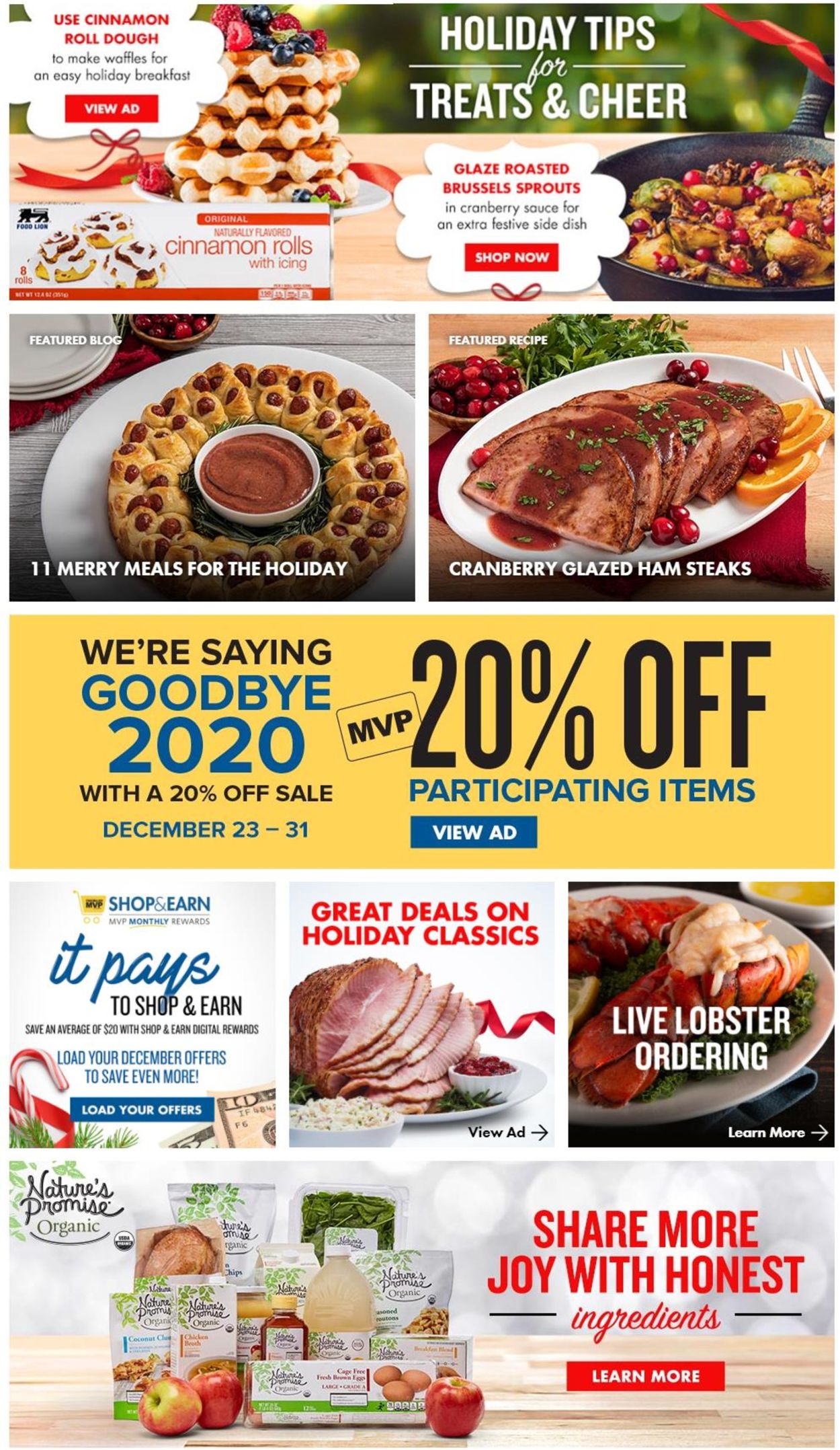Food Lion Ad from 12/24/2020