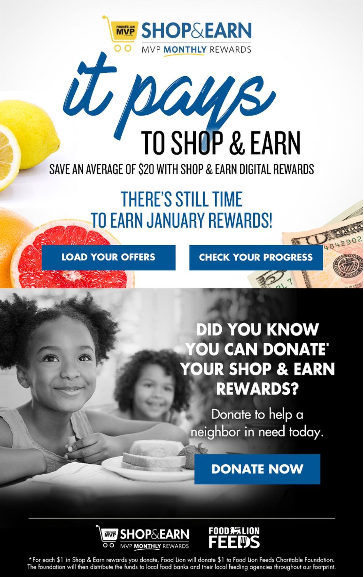 Food Lion Ad from 01/20/2021