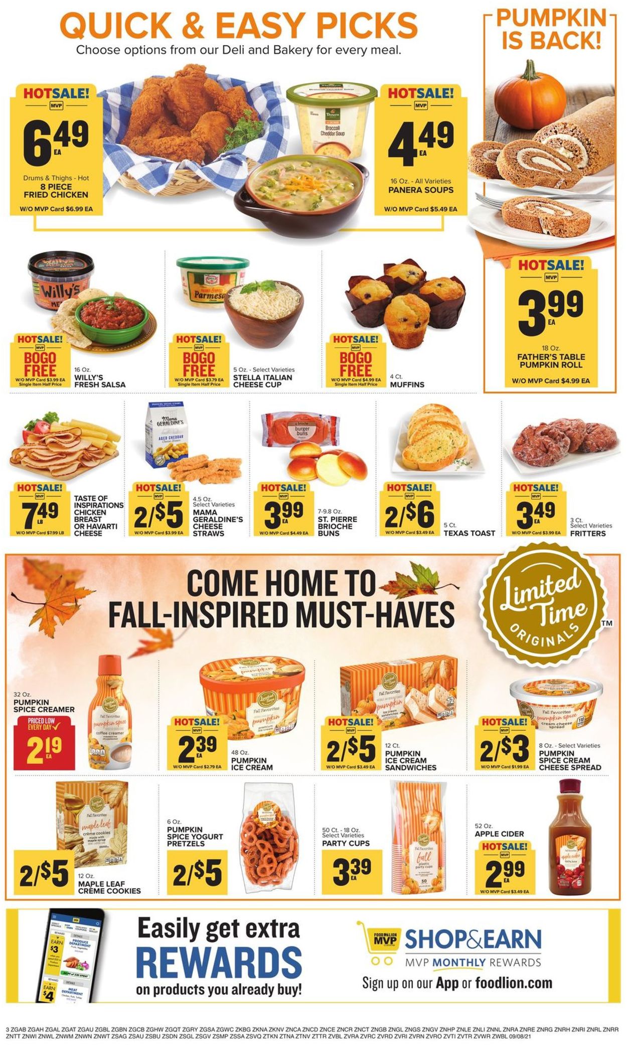 Food Lion Ad from 09/08/2021