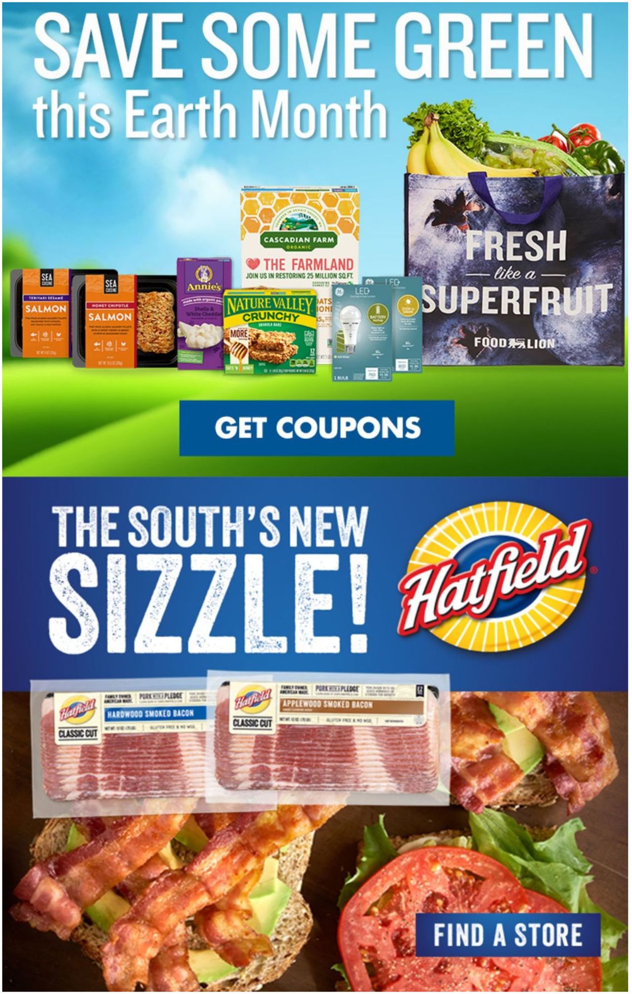 Food Lion Ad from 04/13/2022