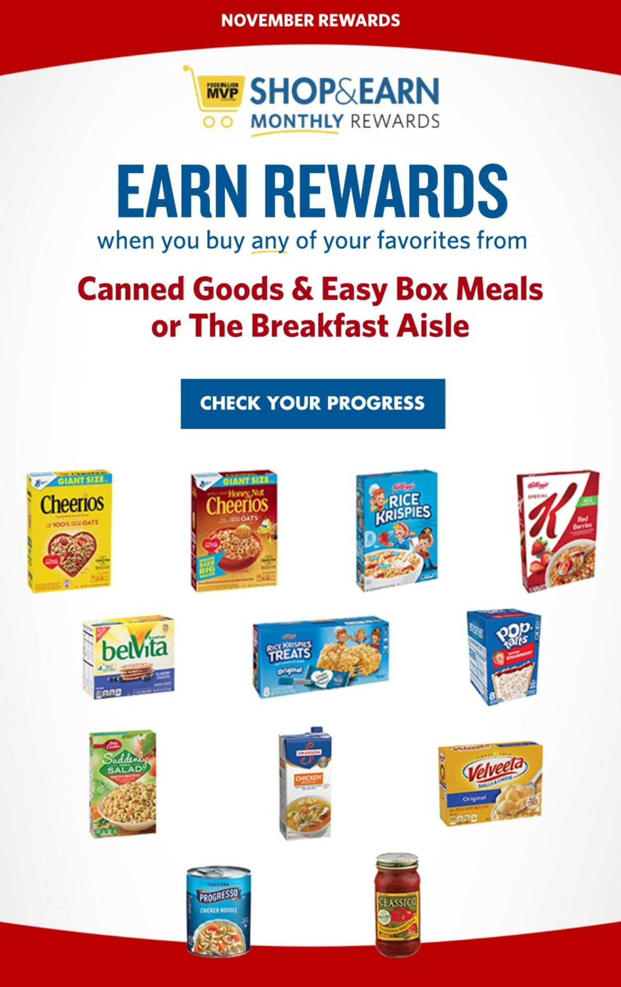 Food Lion Ad from 11/09/2022