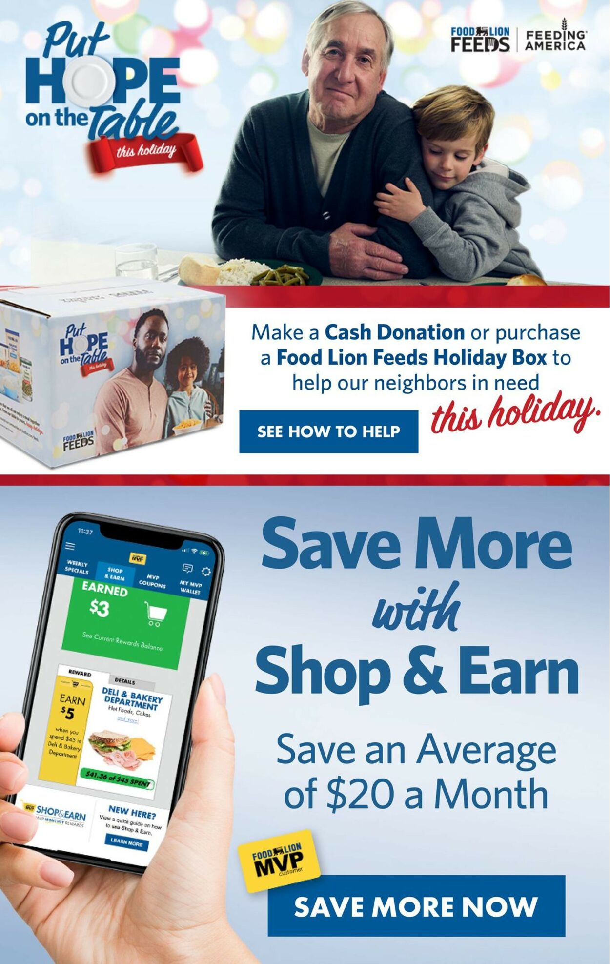 Food Lion Ad from 11/16/2022