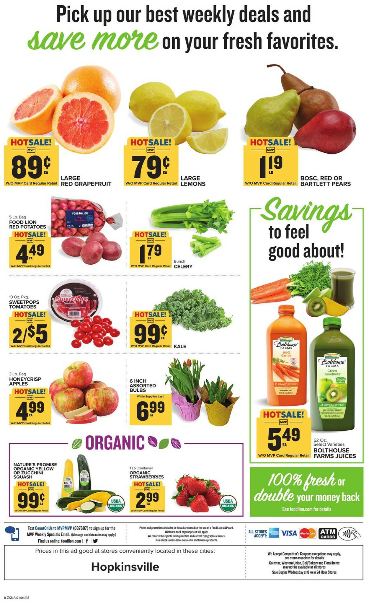 Food Lion Ad from 01/04/2023