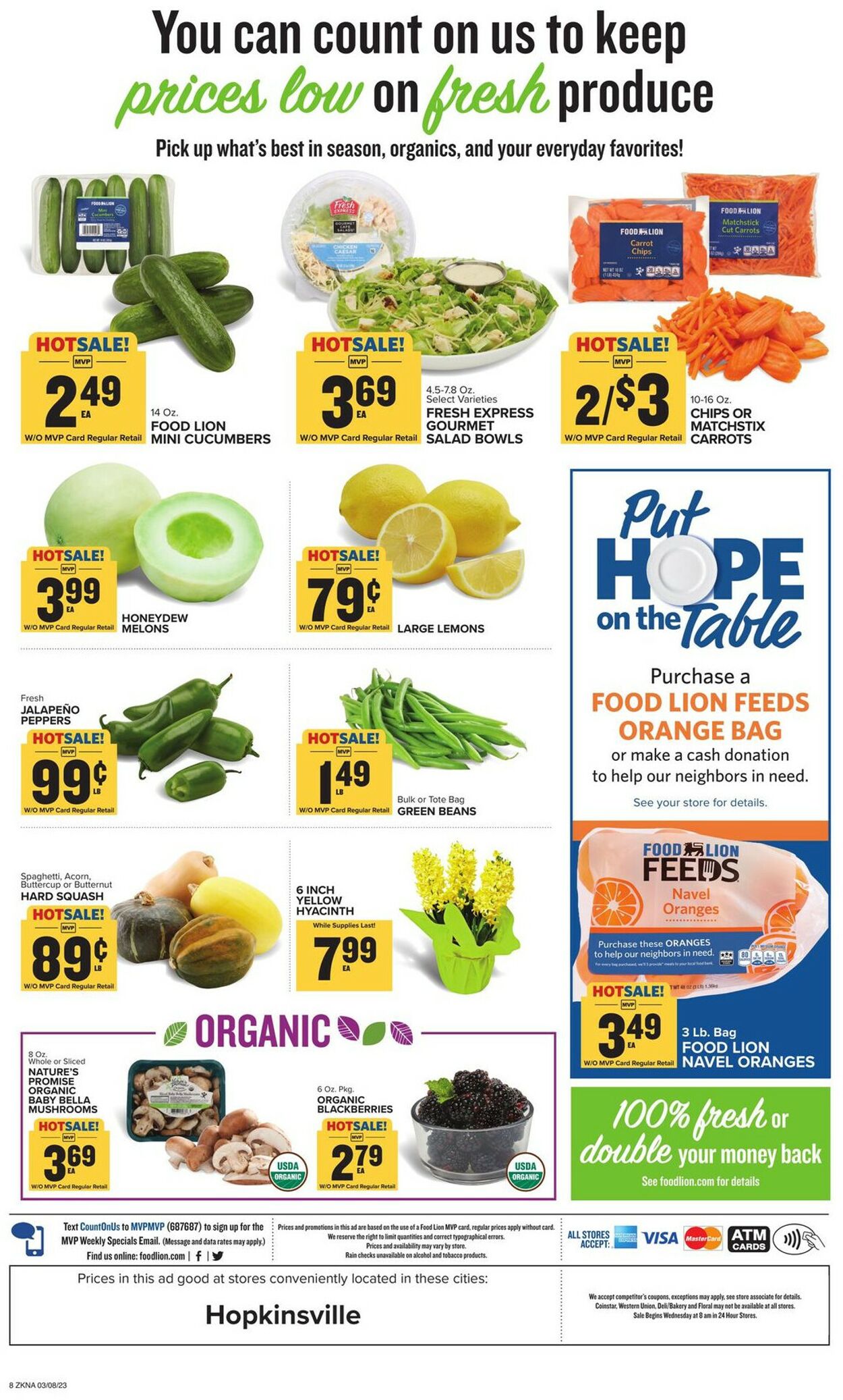 Food Lion Ad from 03/08/2023