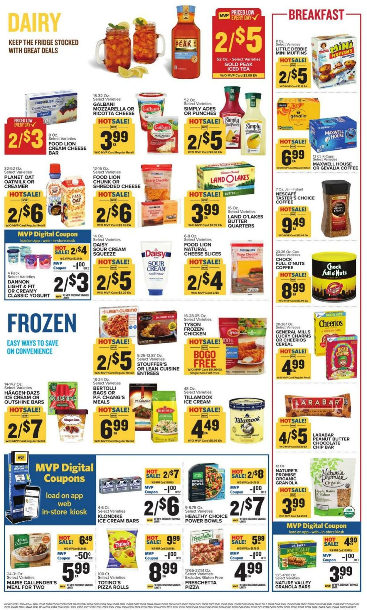 Food Lion Ad from 08/09/2023