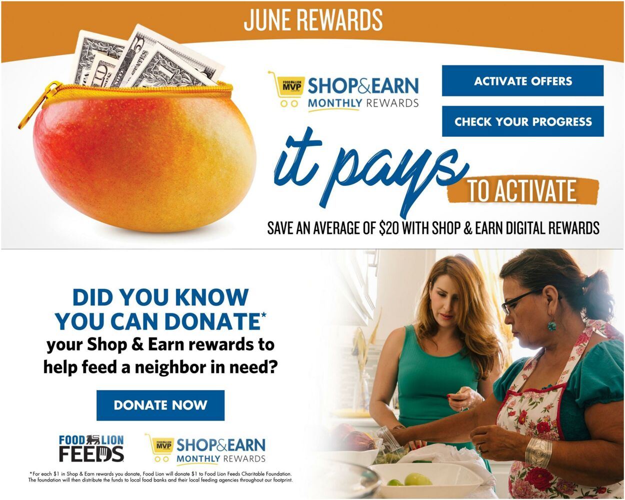 Food Lion Ad from 06/28/2023