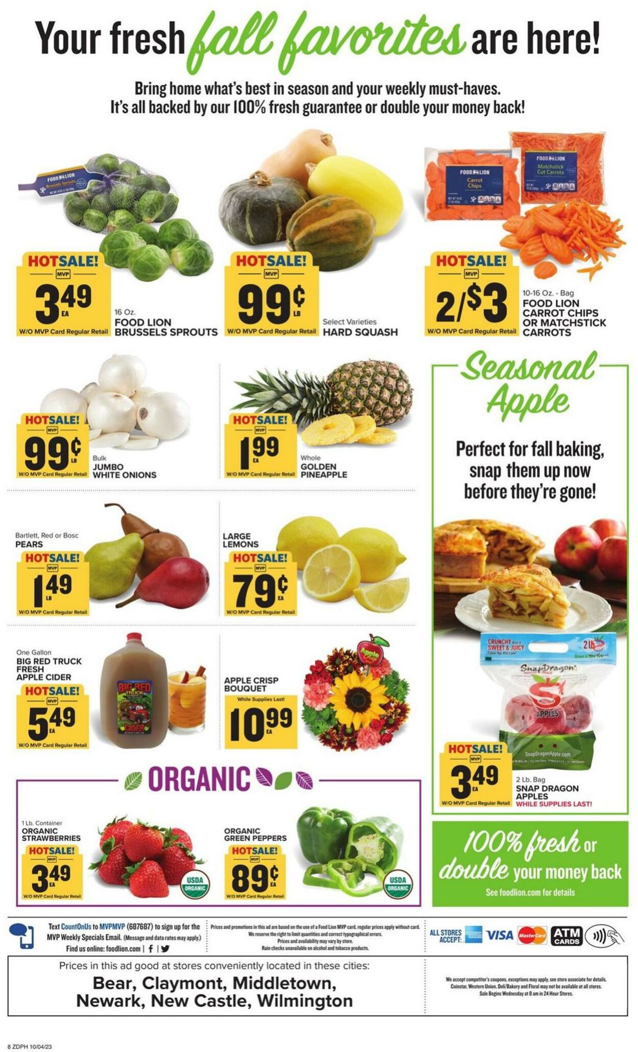 Food Lion Ad from 10/04/2023