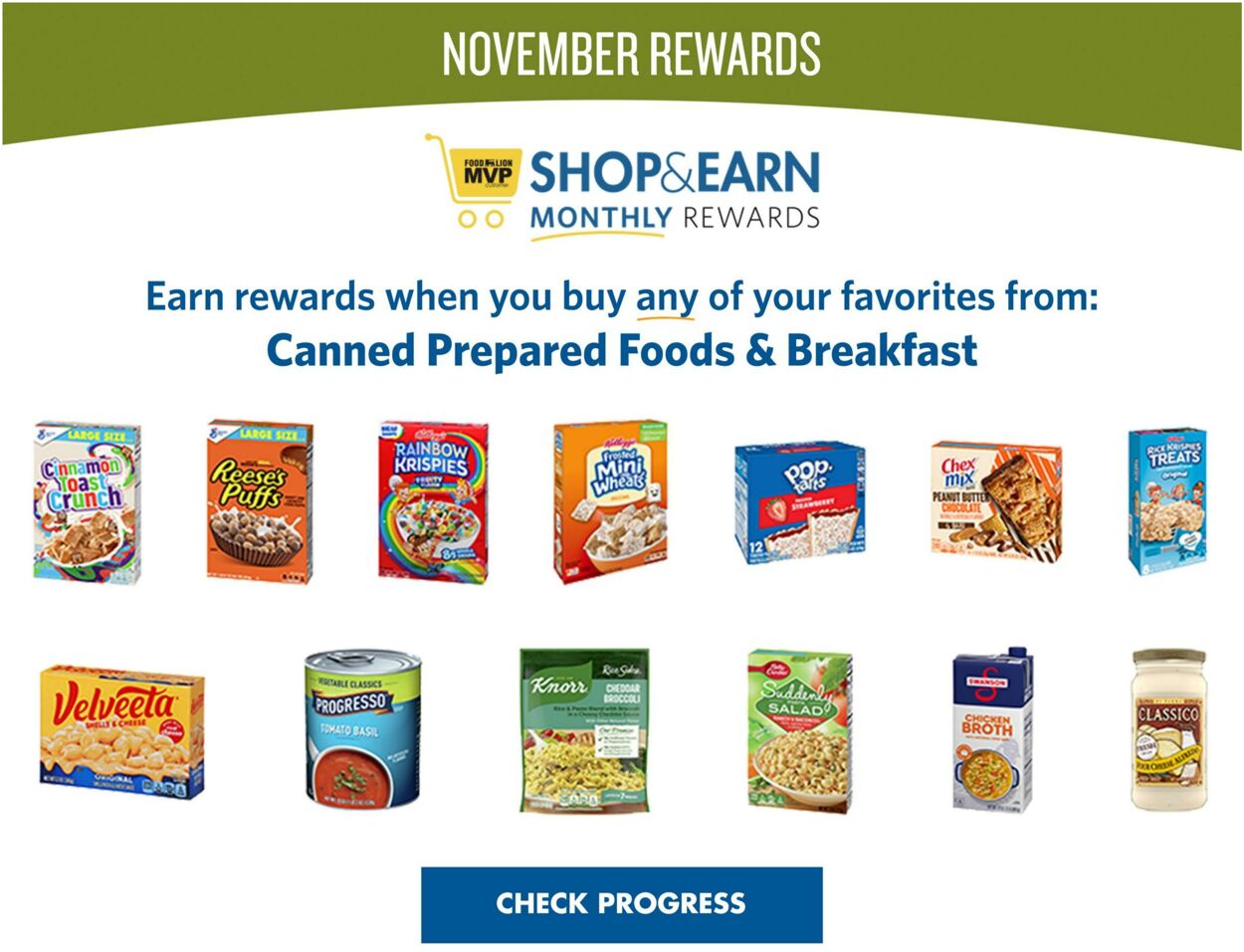 Food Lion Ad from 11/08/2023