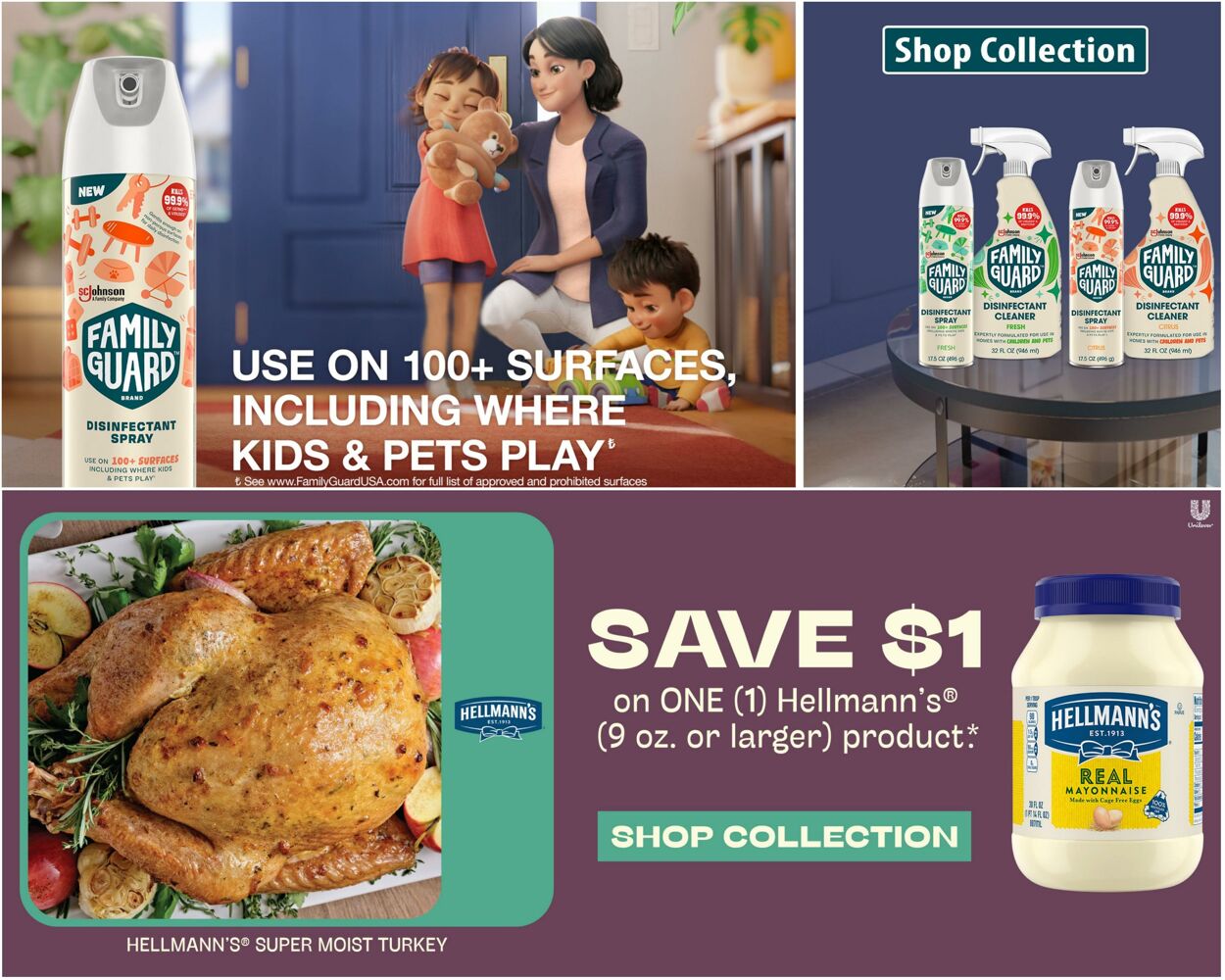 Food Lion Ad from 11/15/2023