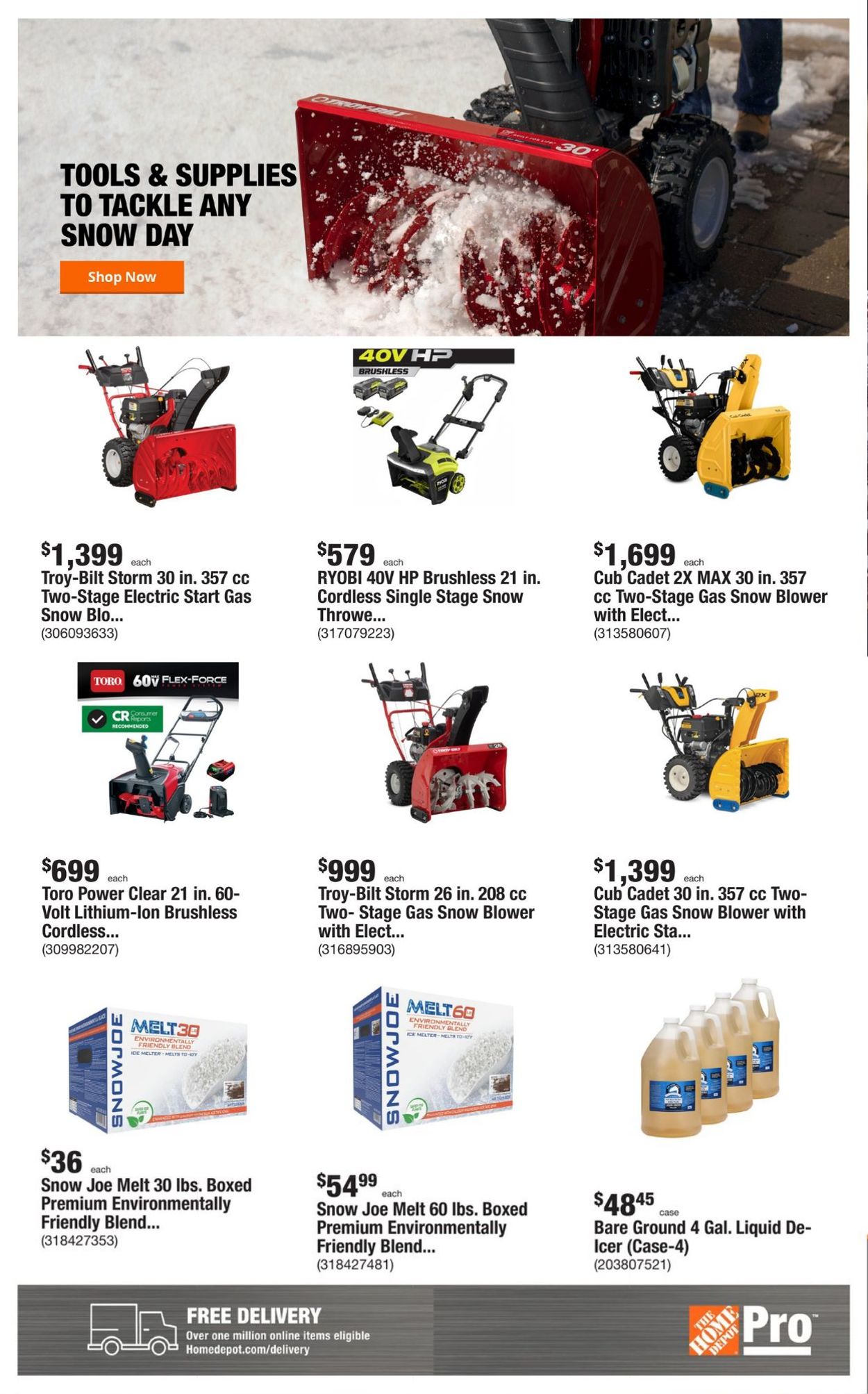 Home Depot Ad from 01/10/2022