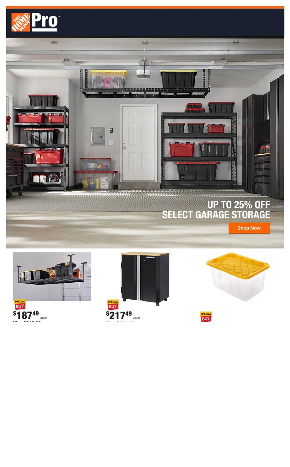 Home Depot Ad from 02/19/2024