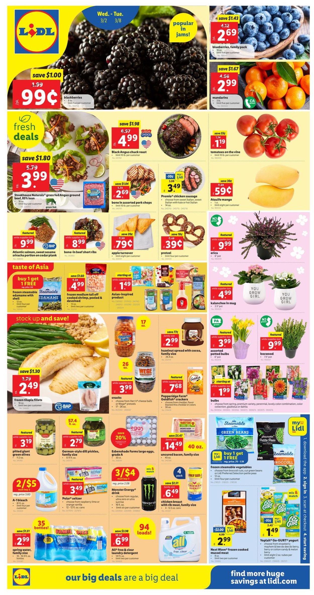 Lidl Ad from 03/02/2022