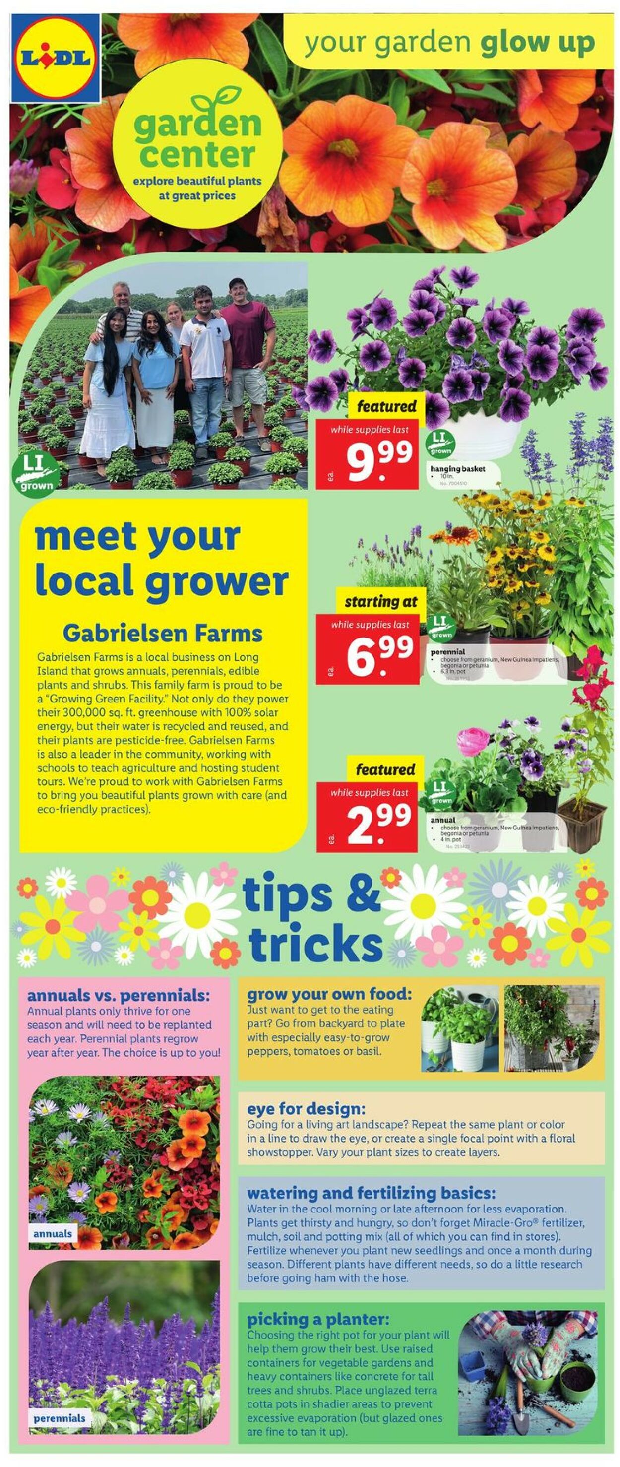 Lidl Ad from 04/19/2023