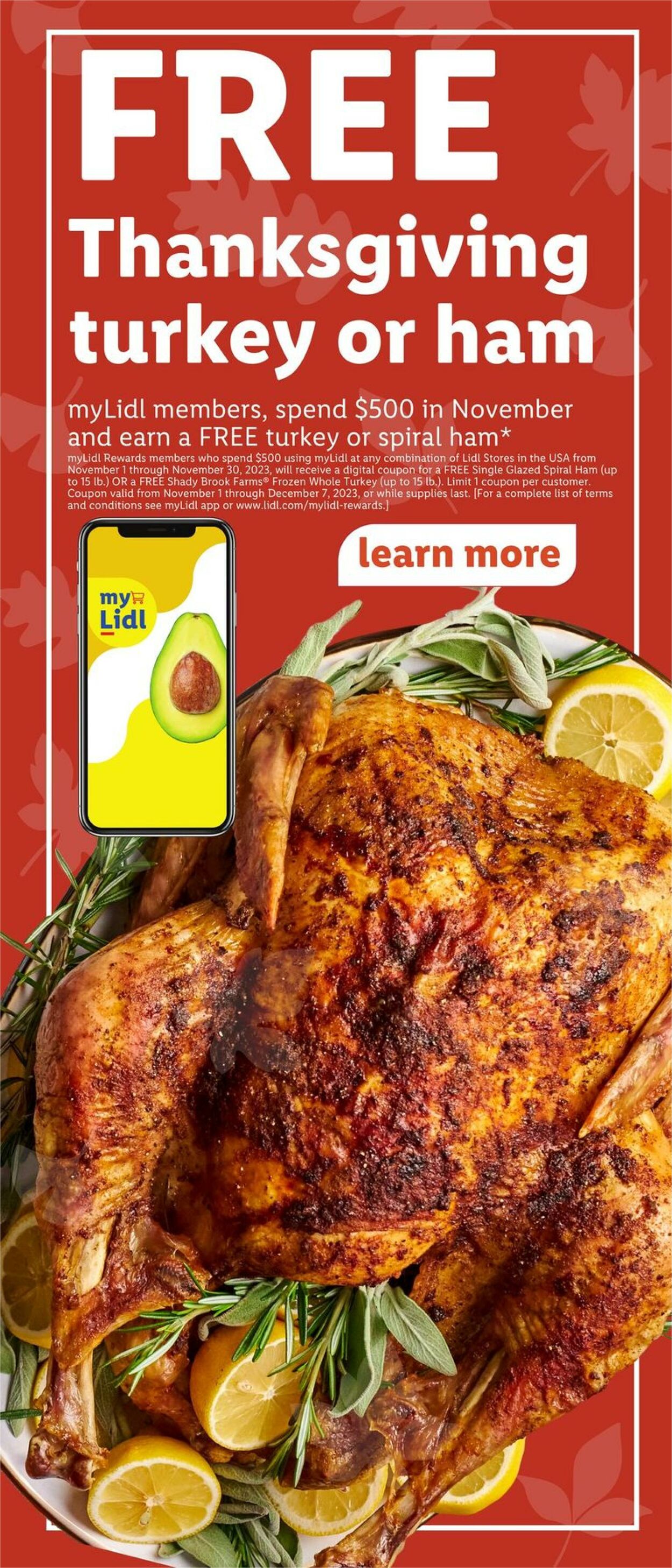 Lidl Ad from 11/08/2023