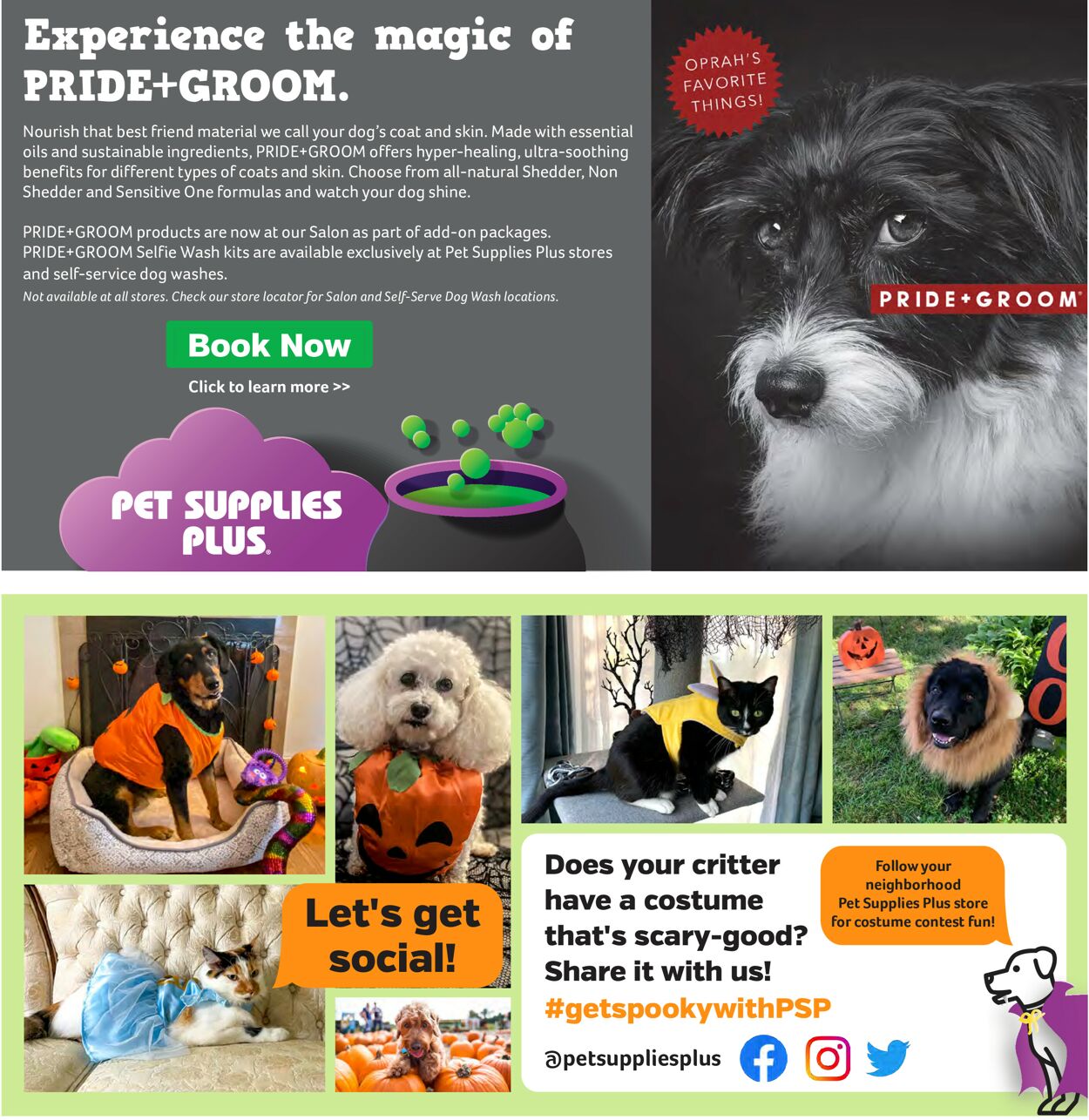 Pet Supplies Plus Ad from 09/03/2022