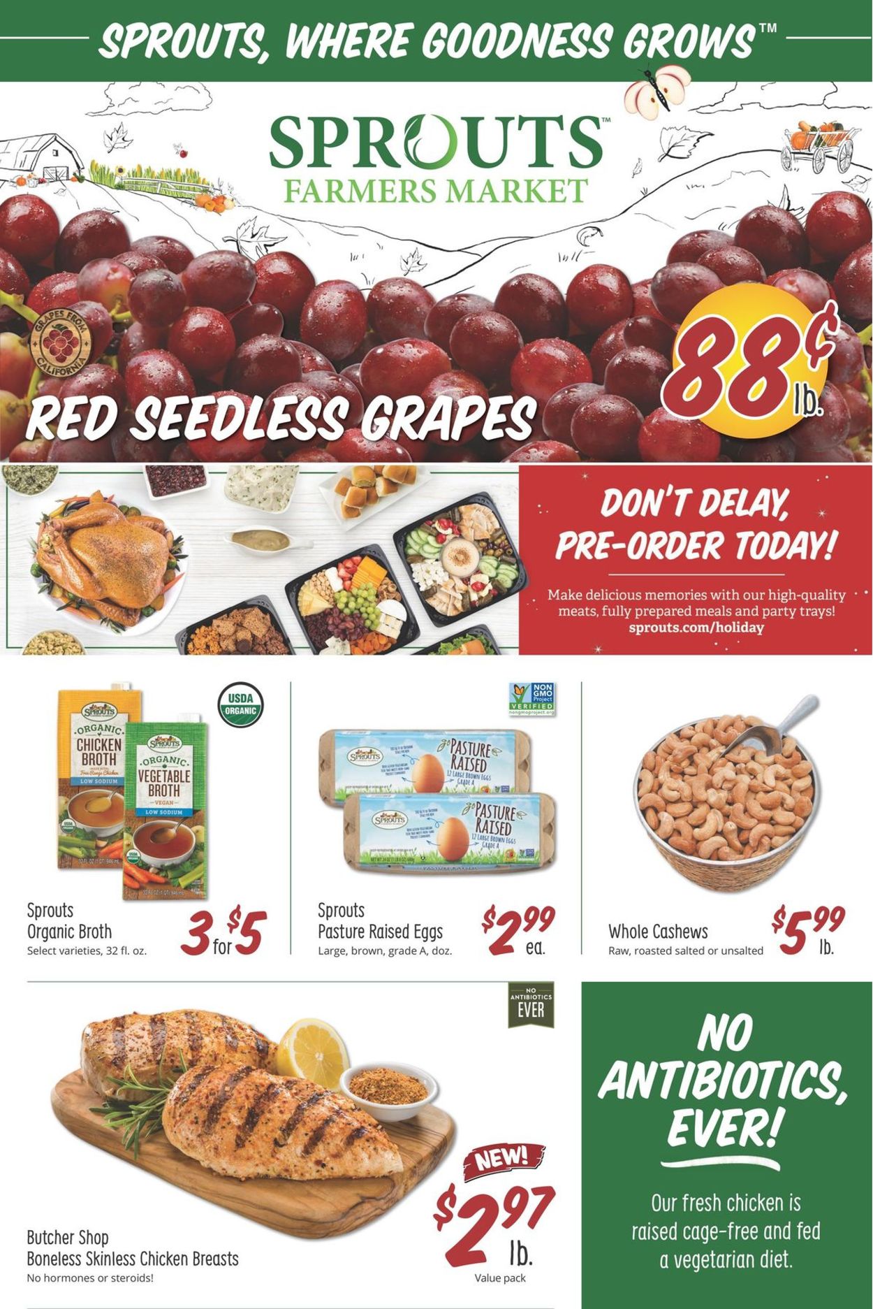 Sprouts Ad from 11/04/2020