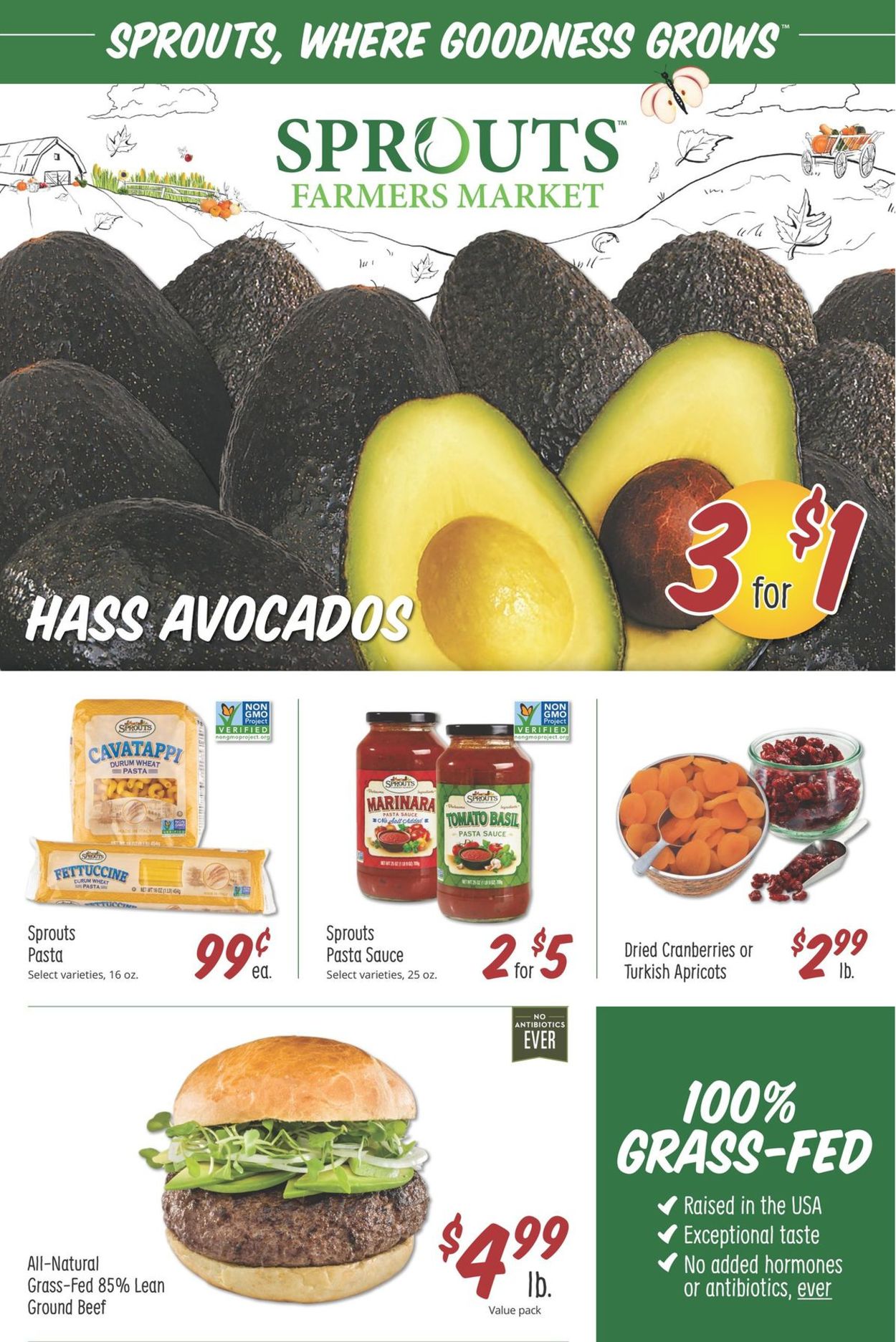 Sprouts Ad from 11/27/2020