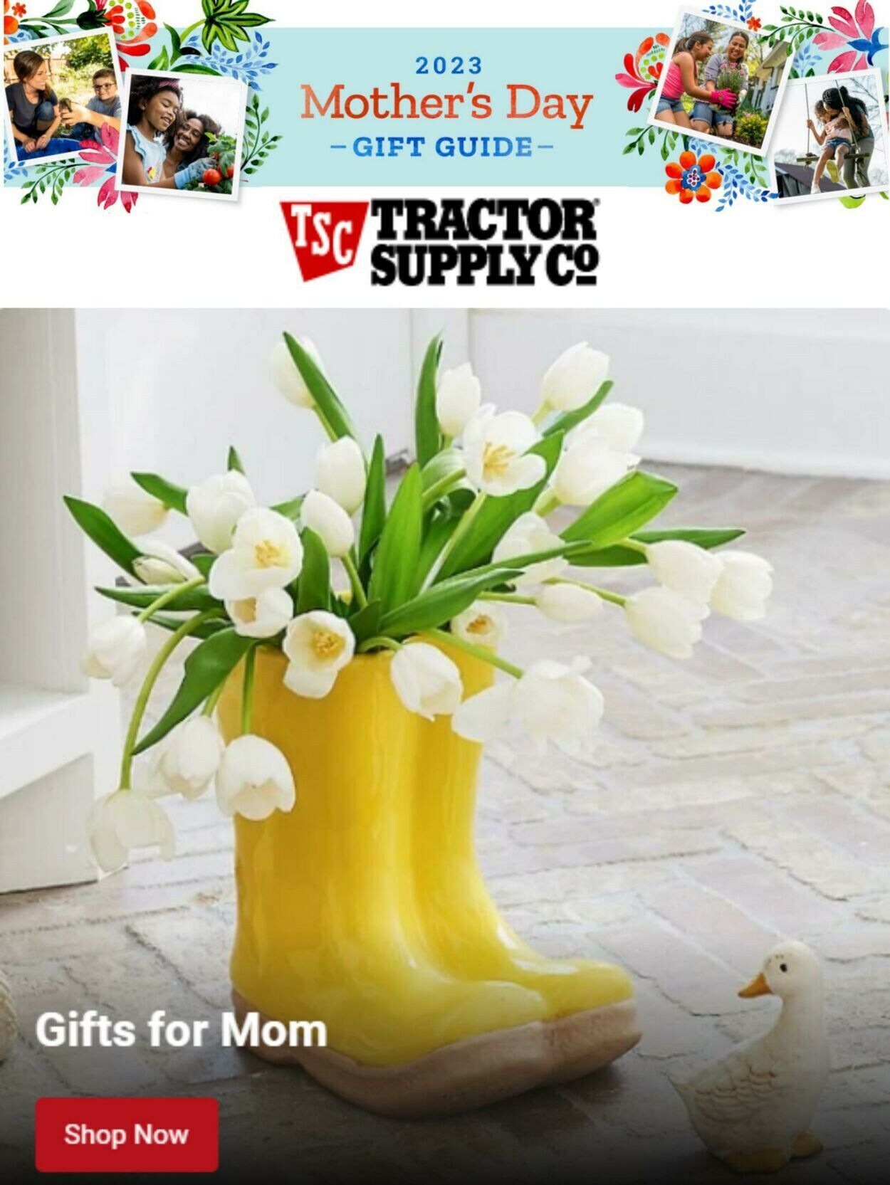 Tractor Supply Ad from 05/04/2023