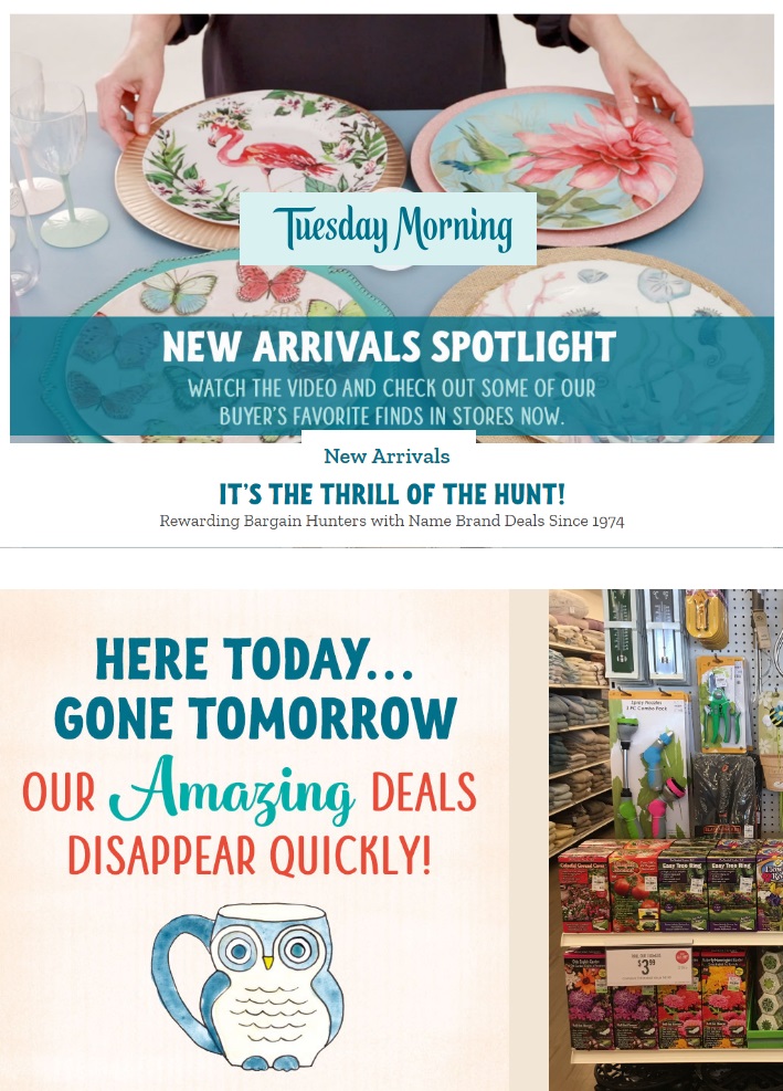 Tuesday Morning Ad from 04/23/2019