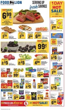 Catalogue Food Lion from 11/03/2021