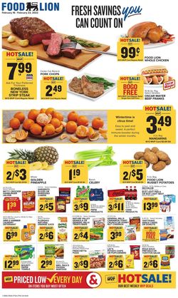 Catalogue Food Lion from 02/16/2022