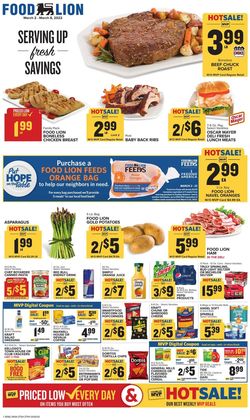 Catalogue Food Lion from 03/02/2022