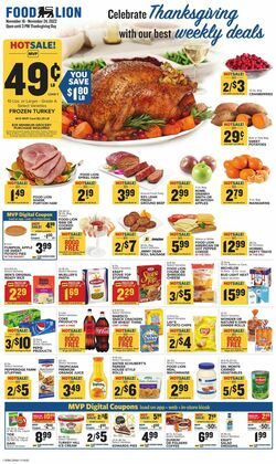 Catalogue Food Lion from 11/16/2022